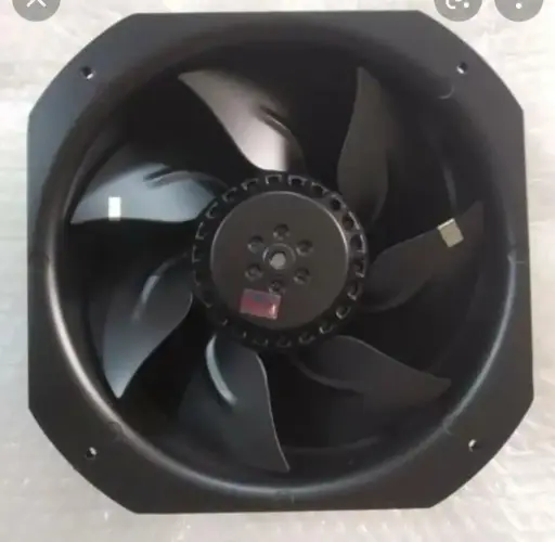 [6/6 FEN] 6/6 FAN(FEEZE)